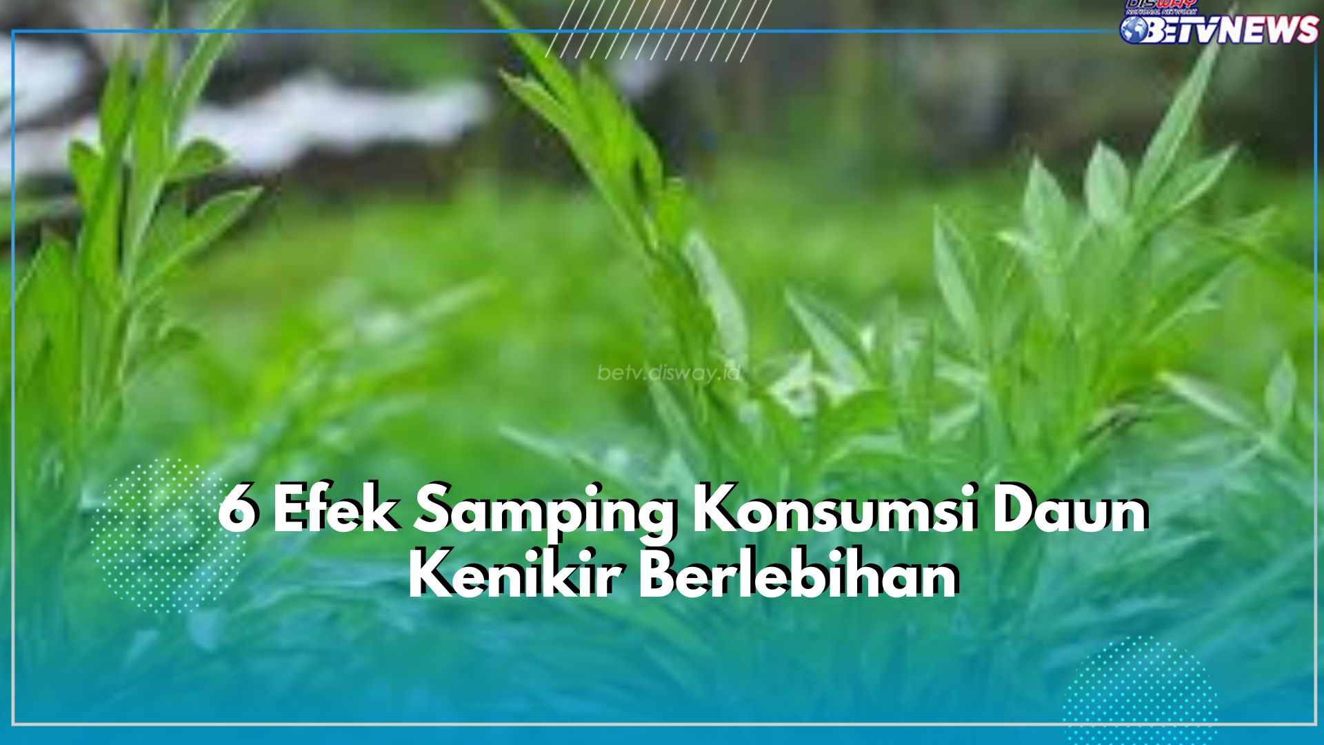 Stop Sekarang Juga! Ada 6 Efek Samping Berbahaya Jika Konsumsi Daun Kenikir Secara Berlebihan