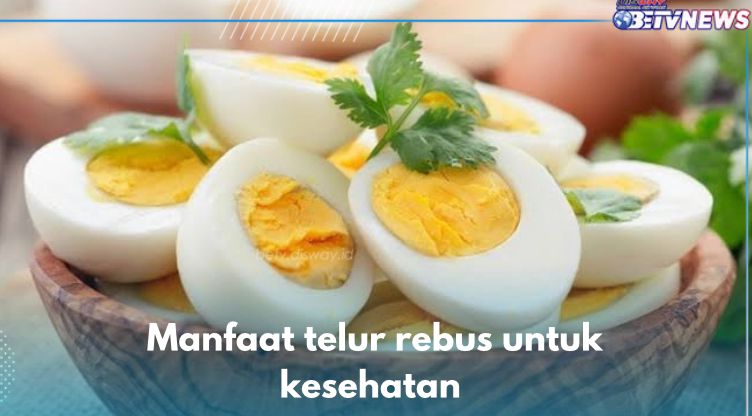 Pengidap Kolesterol Boleh Makan! Ini 7 Manfaat Telur Rebus untuk Kesehatan