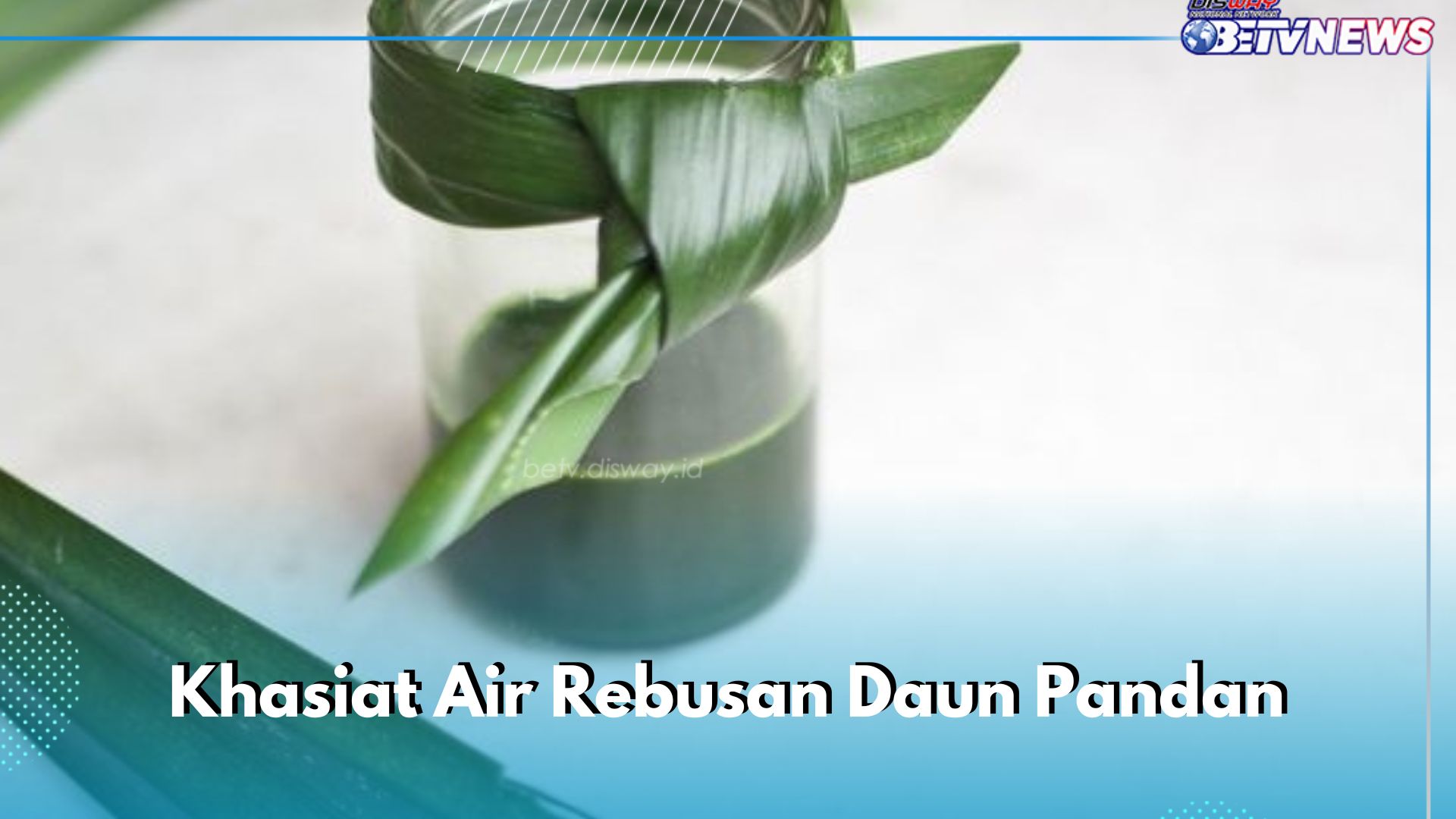 Cukup Konsumsi Air Rebusan Daun Pandan, Ini Khasiat yang Bisa Dirasakan untuk Kesehatan Tubuh