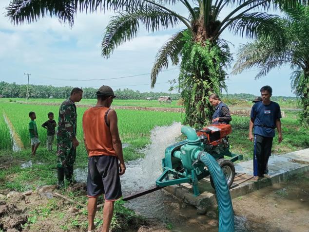 Distan Seluma Kembali Usulkan 70 Unit Mesin Pompa Air Antisipasi Kekeringan Lahan