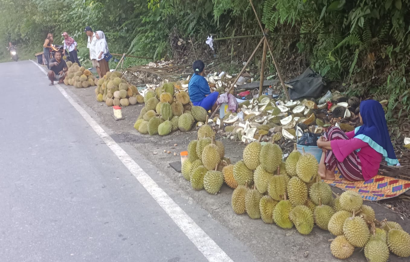 Musim Durian di Seluma Tiba, Petani Raup Penghasilan hingga Rp7 Juta