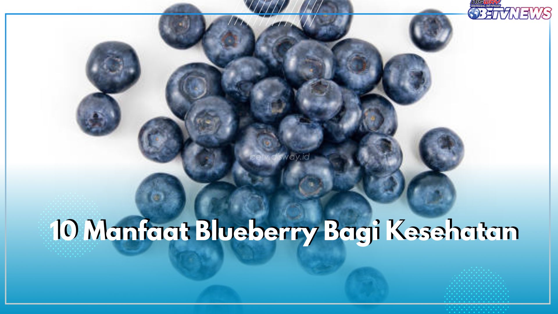 10 Manfaat Buah Blueberry, Untuk Kesehatan Baik Menurunkan Kolesterol, Cek yang Lainnya d Sini