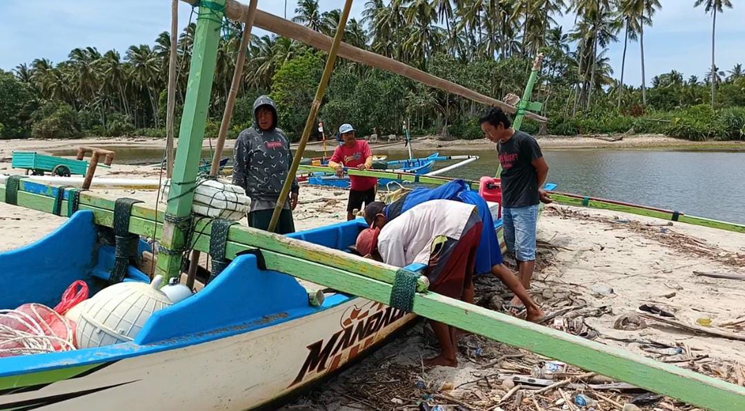 Ratusan Nelayan di Kaur Keluhkan Anjloknya Harga Benih Bening Lobster 