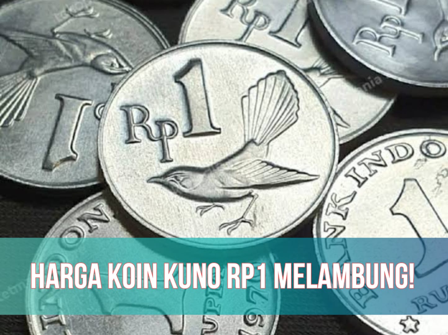 Koin Kuno Rp1 Jadi Rebutan! Harganya Melambung Berkali-kali Lipat, Cek Segera!