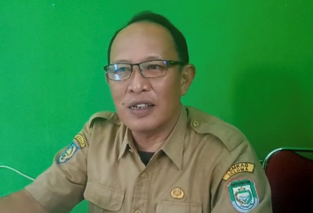 Usulan 900 Dosis Vaksin Belum Disetujui, Vaksinasi Hewan Kurban Seluma Tertunda