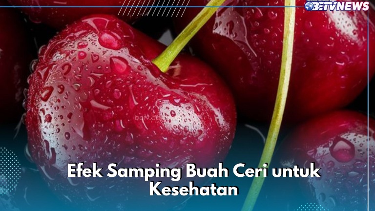 Ini Efek Samping Makan Buah Ceri! Konsumsi Berlebihan Bisa Sebabkan Alergi