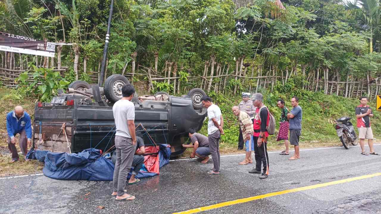 Pick Up Bermuatan Ikan Hias Terbalik di Jalan Lintas Barat Kaur