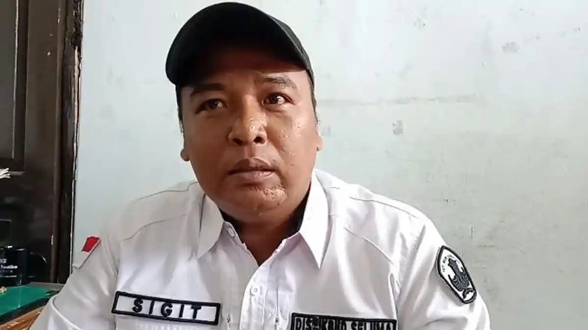 Momentum Hardiknas 2026, 80 Persen SD di Seluma Sukses Adopsi Kurikulum Merdeka