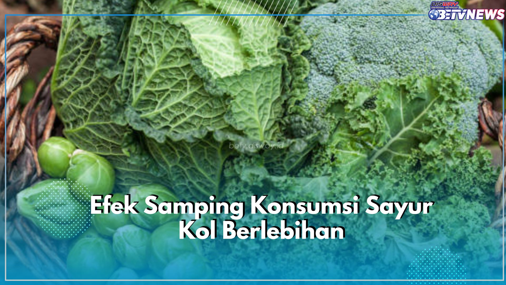 Hati-hati Jangan Berlebihan! Cek Efek Samping yang Ditimbulkan dari Konsumsi Sayur Kol, Ada Dampak Berbahaya