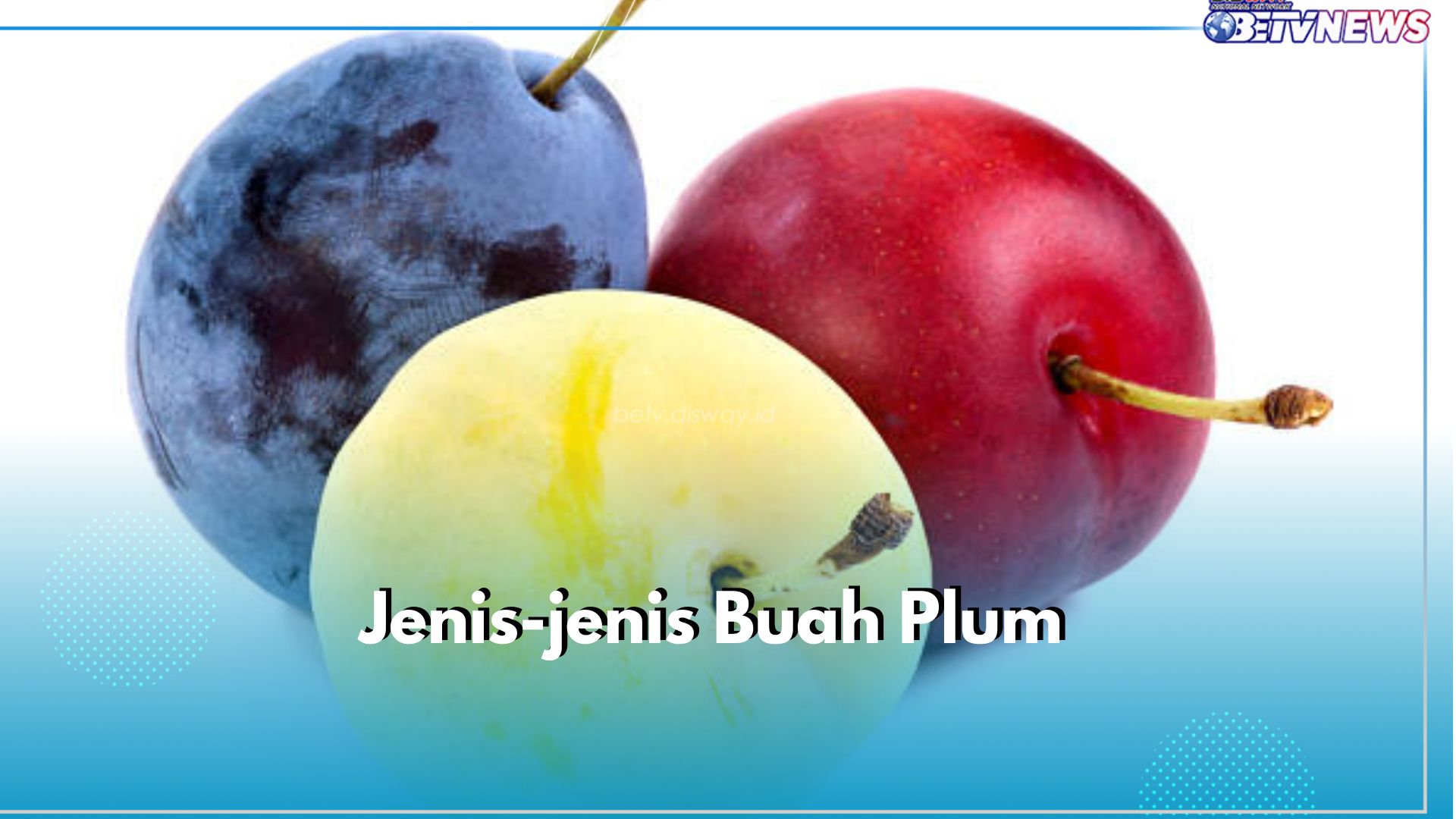 Ada Japanese Plum hingga Damson Plum, Ini Jenis-jenis Buah Plum yang Ada di Dunia, Mana Favoritmu?