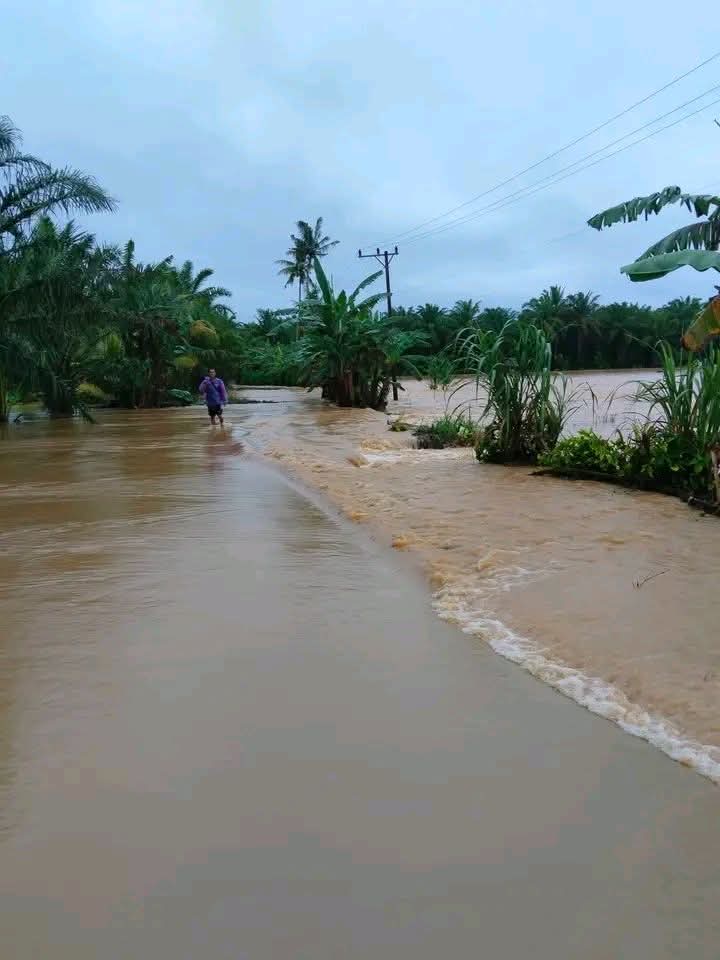 Seluma Terkepung Banjir: 2.478 Jiwa Terdampak Luapan Air di 5 Kecamatan