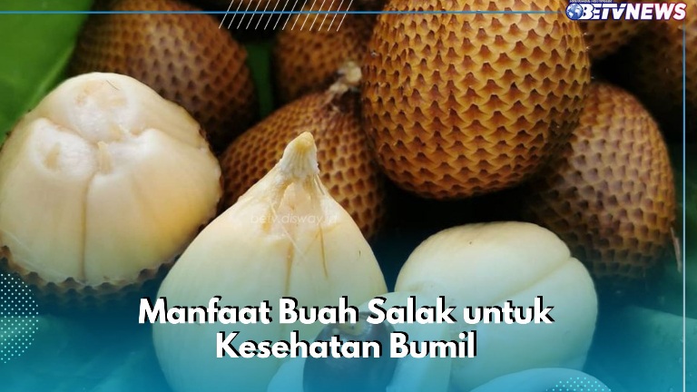 Cek di Sini! Bisa Terhindar dari Risiko Anemia, Ini Manfaat Buah Salak untuk Ibu Hamil
