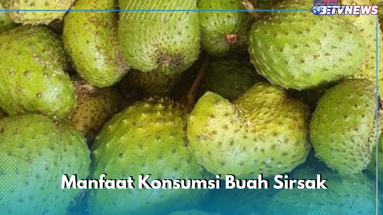 Manfaat Konsumsi Buah Sirsak bagi Kesehatan Tubuh, Ampuh Melancarkan Pencernaan