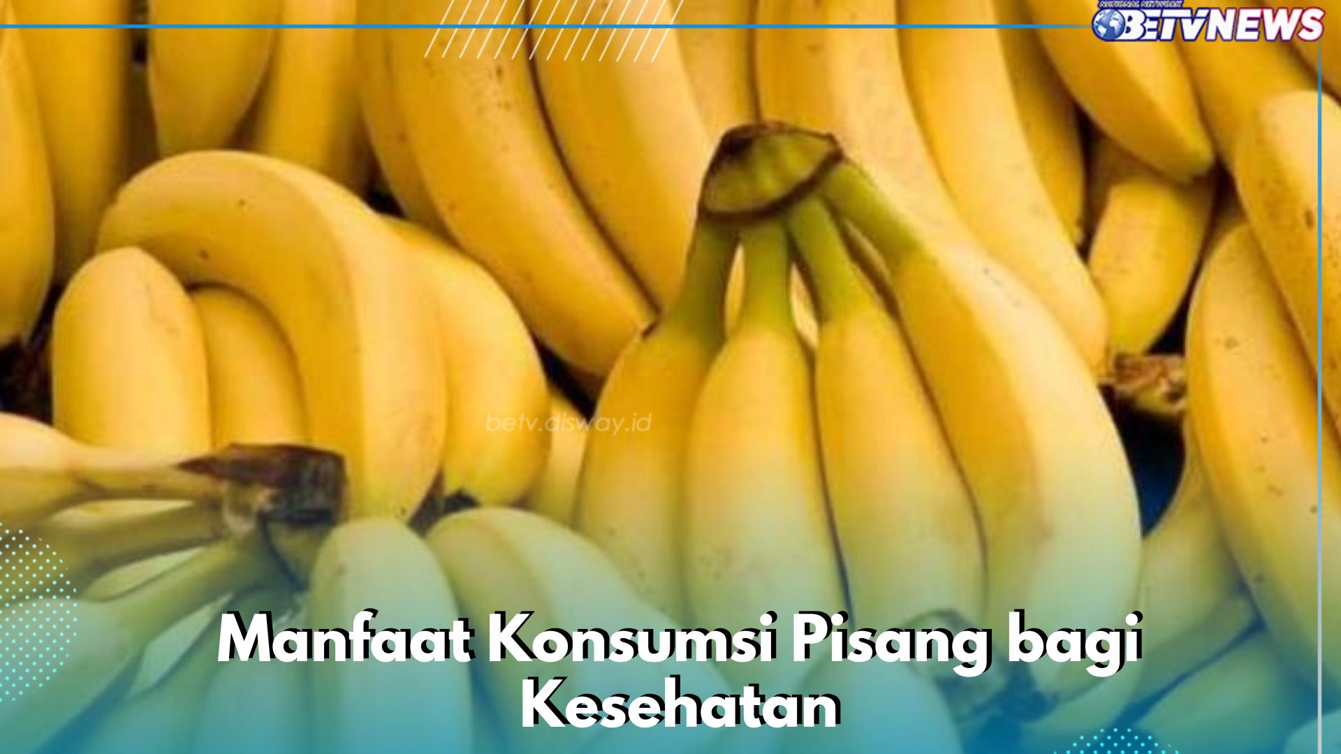 Cek Manfaat Buah Pisang di Sini, Kaya Nutrisi dan Ampuh Membuat Pencernaan Tetap Sehat