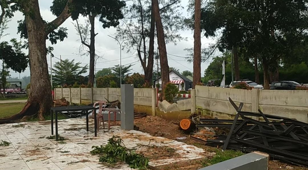 Pohon Tumbang di Lapangan Golf Memakan Korban, Satu Petugas Caddy Meninggal Dunia