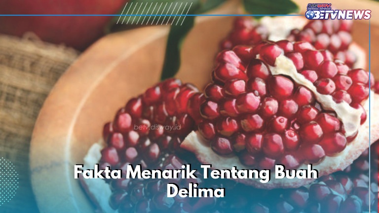 Punya Nama Latin Punica Granatum, Ini Fakta Buah Delima yang Jarang Diketahui