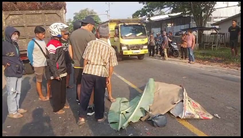 BREAKING NEWS: Adu Kambing dengan Truk Sawit, IRT di Bengkulu Tengah Meninggal di Tempat