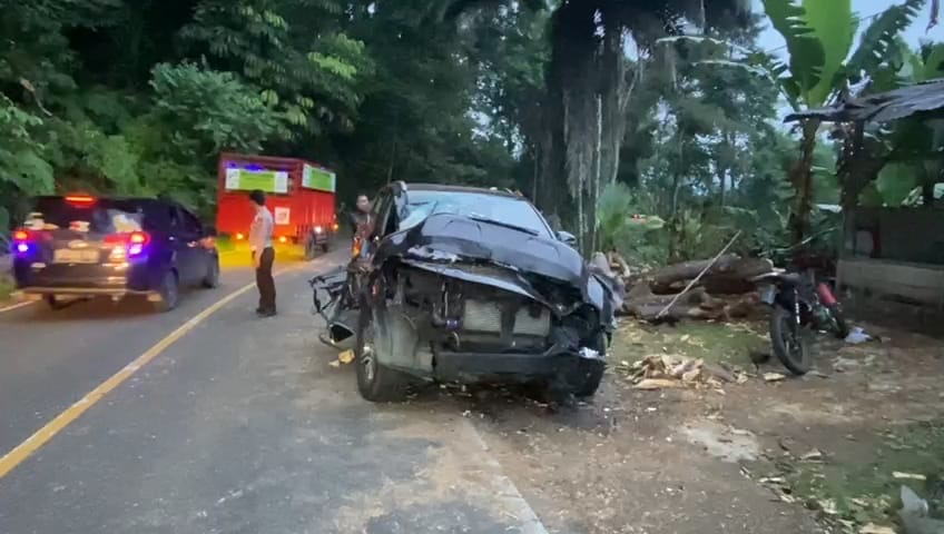 BREAKING NEWS: Pasutri Tertimpa Pohon Tumbang di Desa Tebat Monok