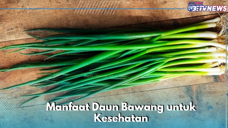 Manfaat Lain Daun Bawang bagi Ibu Hamil, Mampu Menurunkan Kadar Kolesterol