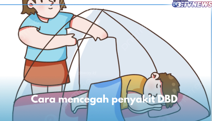 6 Cara Jitu Cegah Demam Berdarah, Tidur Dengan Kelambu Salah Satunya