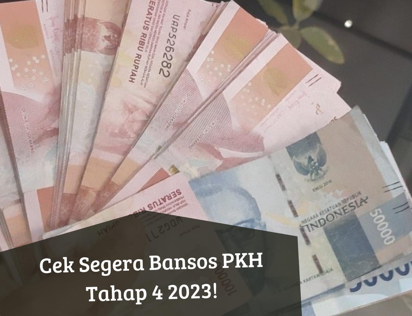 7 Kategori Ini Auto Senyum, Dapat Bansos PKH 2023 Tahap 4, Cek Langsung Lewat Link cekbansos.kemensos.go.id