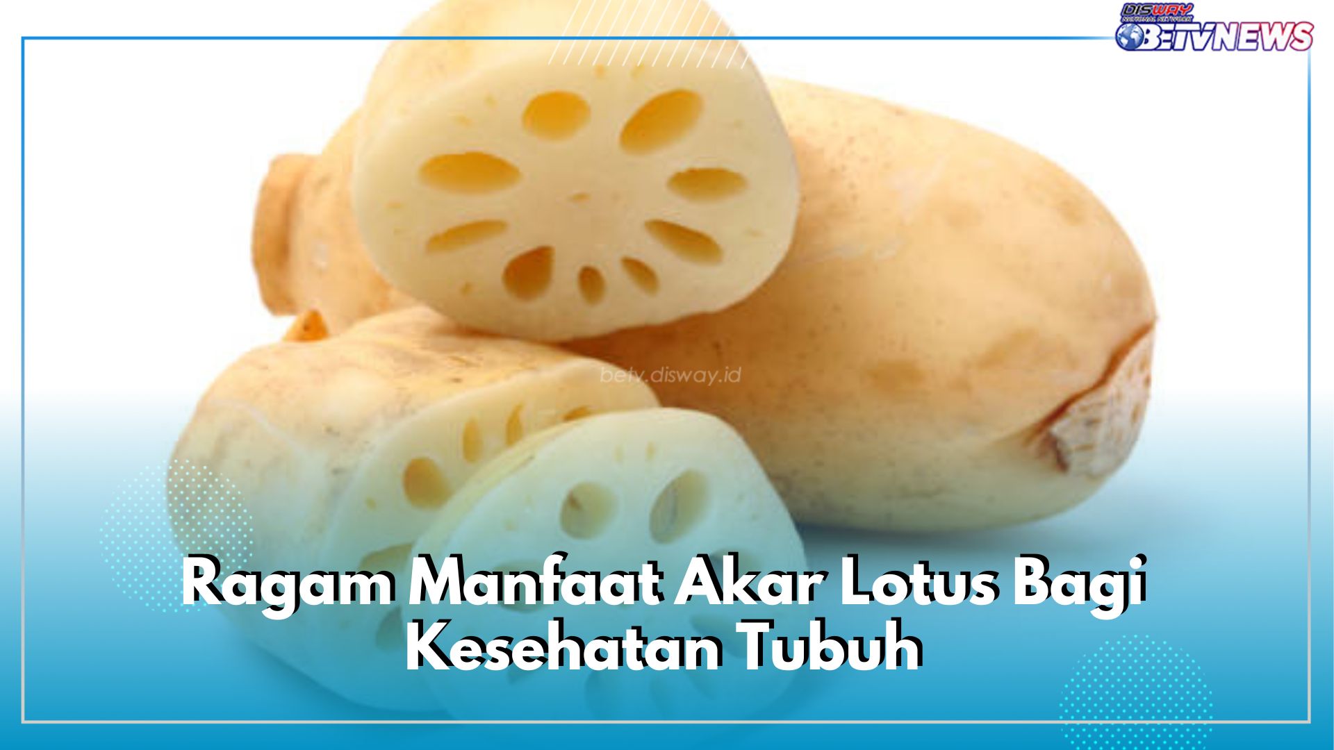 Tinggi Vitamin C, Inilah Ragam Manfaat Akar Lotus Bagi Kesehatan Tubuh