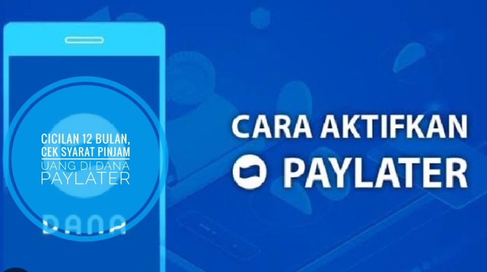 Harus Dicoba! Pinjaman Rp10 Juta Cair Otomatis ke Dompet Digital, Dengan Cara Ajukan ke DANA Paylater