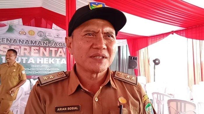 Sukseskan Program Cetak Sawah, Dinas Pertanian Seluma Normalisasi Jaringan Irigasi