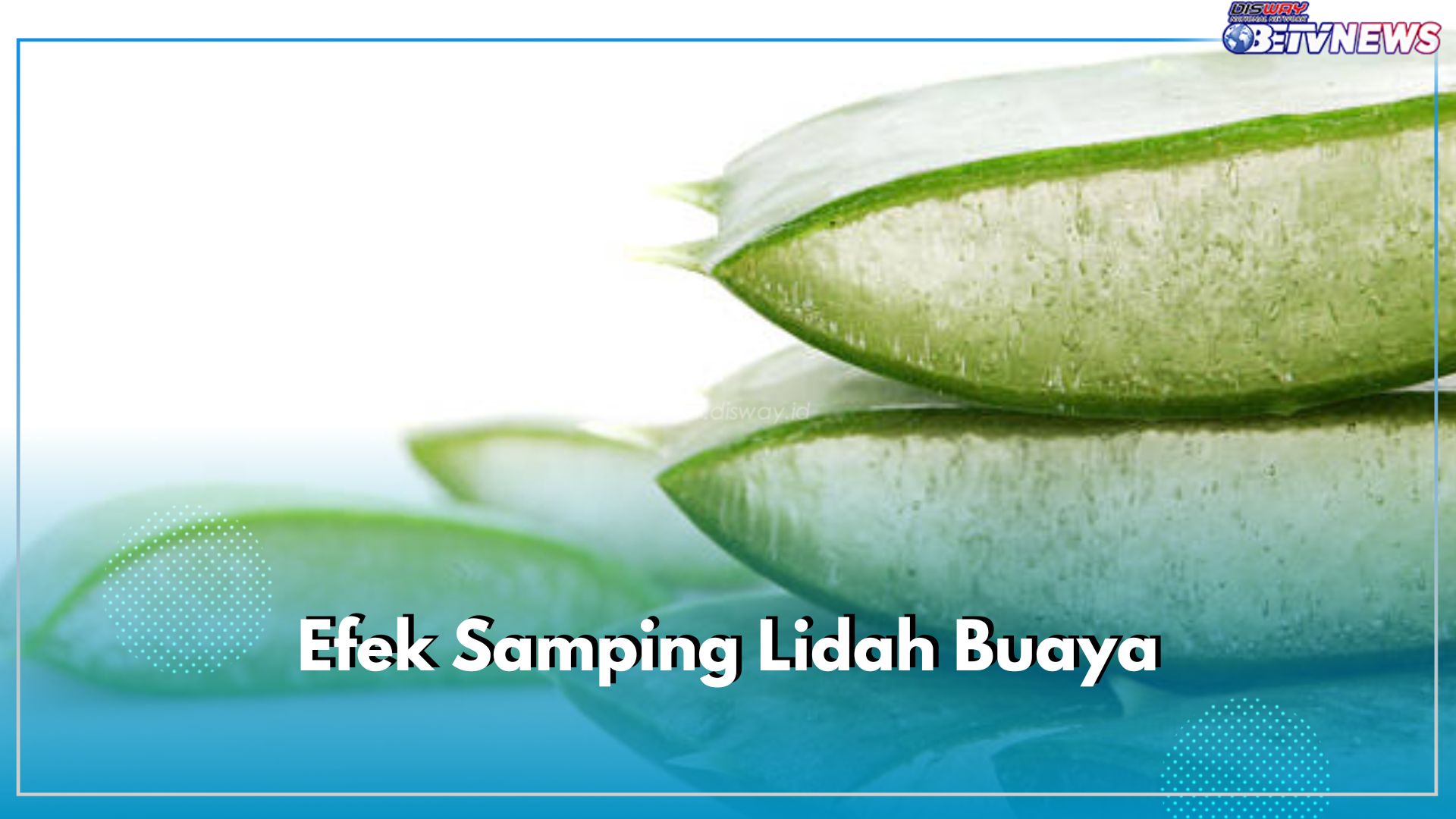 Cek di Sini! 8 Efek Samping Lidah Buaya Jika Dikonsumsi Tidak Tepat, Berbahaya Buat Kesehatan