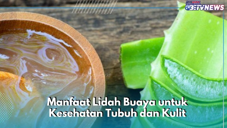 Manfaat Lain Lidah Buaya bagi Kesehatan Tubuh dan Kulit, Ampuh Bikin Jerawat Hilang, Cek di Sini!