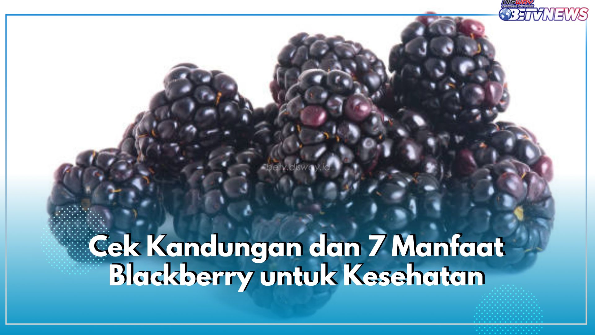 Cek Kandungan dan 7 Manfaat Blackberry untuk Kesehatan Ini