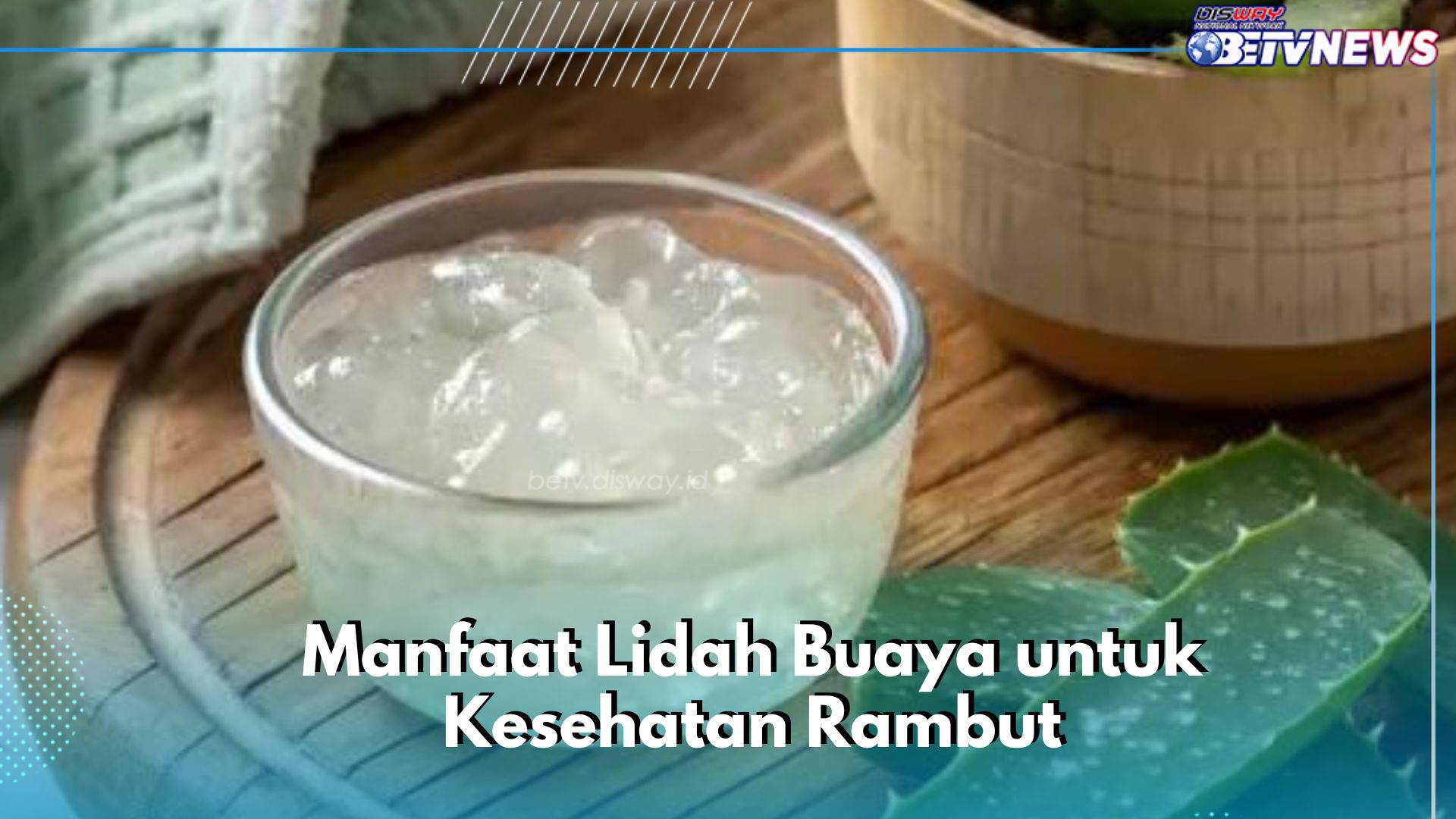 Lidah Buaya Aman untuk Perawatan Rambut, Cek Manfaat yang Bisa Kamu Ketahui di Sini