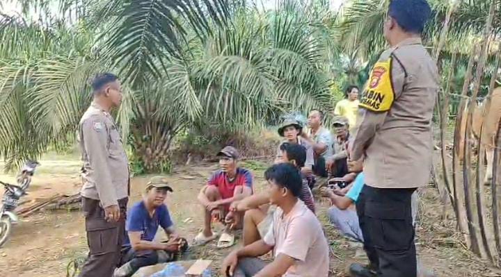 Teror Harimau di Bengkulu Utara Berlanjut, Sapi Milik Warga Desa Kinal Jaya Jadi Mangsa