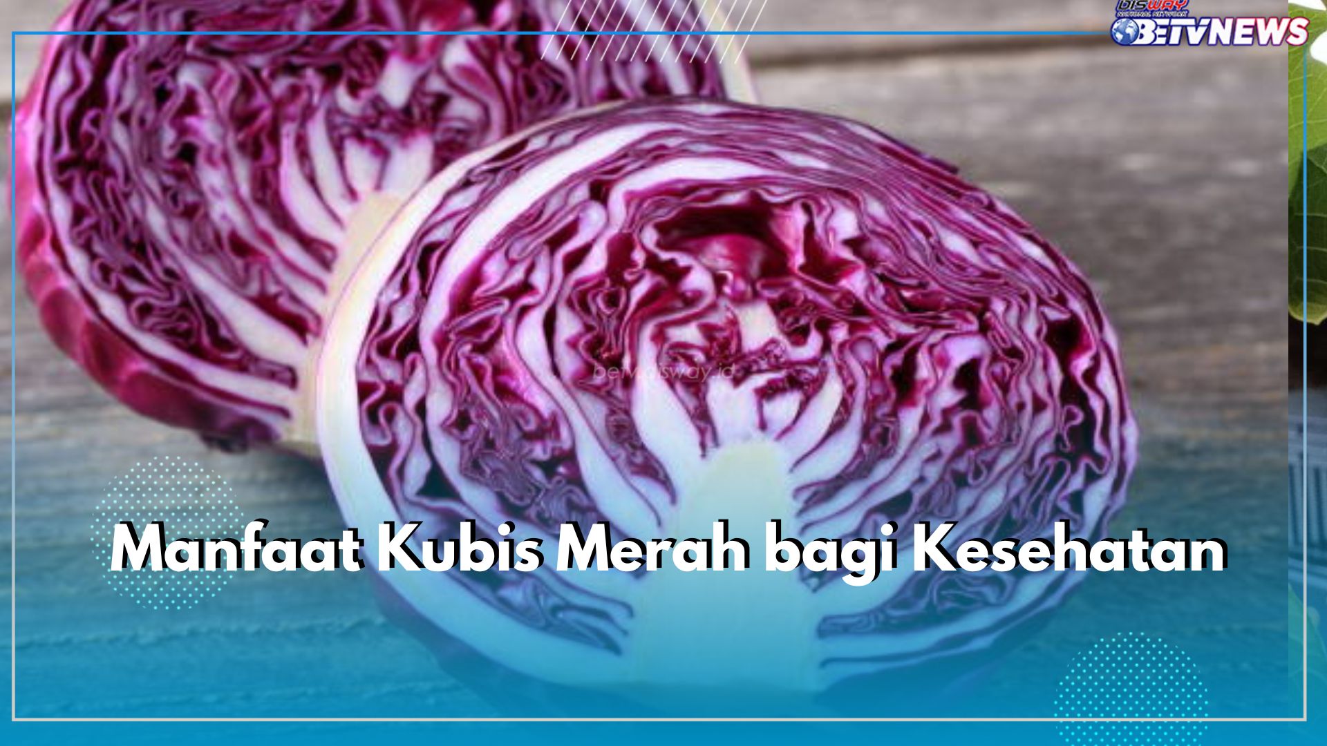 Kaya Akan Antioksidan, Ini 7 Manfaat Kubis Merah bagi Kesehatan Berikut Ini