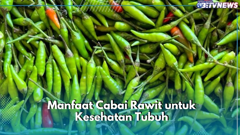 Konsumsi Cabai Rawit Bisa Meningkatkan Sistem Imun, Cek Manfaat Lainnya di Sini