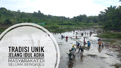 Tradisi Budaya Masyarakat Seluma Bengkulu Sambut Idul Adha, Nangguak Ikan di Tebat Ratu