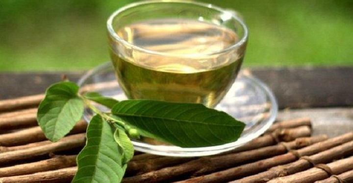 Ini 5 Cara Tepat Olah Daun Jambu Biji Jadi Obat Tradisional 