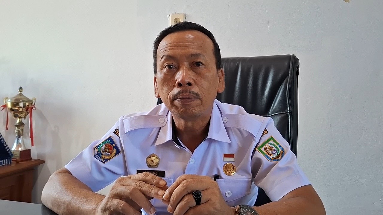 Tembus 1,1 Ton, Sapi Simental Asal Mukomuko Diusulkan Jadi Kurban Presiden di Bengkulu