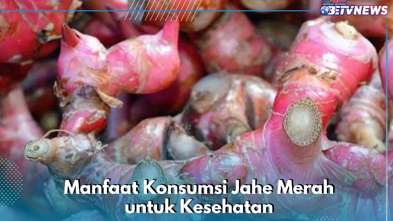 Meredakan Sakit Tenggorokan dengan Mudah, Ini Manfaat Konsumsi Jahe Merah yang Perlu Diketahui