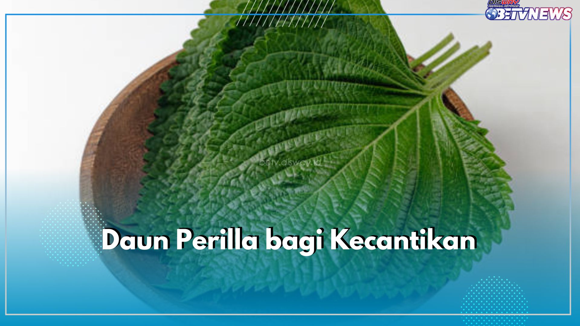 Terkenal di Korea, Inilah 6 Manfaat Daun Perilla untuk Kecantikan Kulit