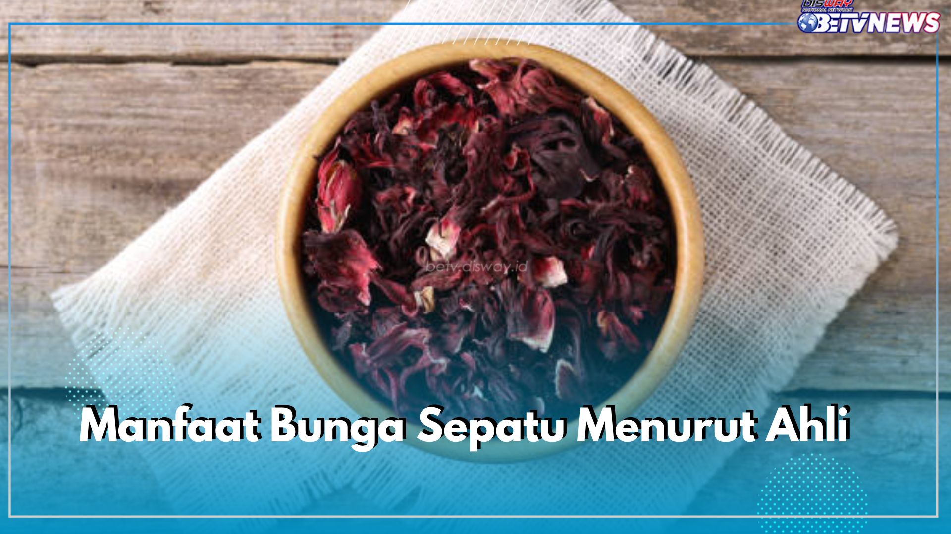 Kenali 5 Manfaat Bunga Sepatu Menurut Ahli, Berikut 3 Cara Populer Mengonsumsinya