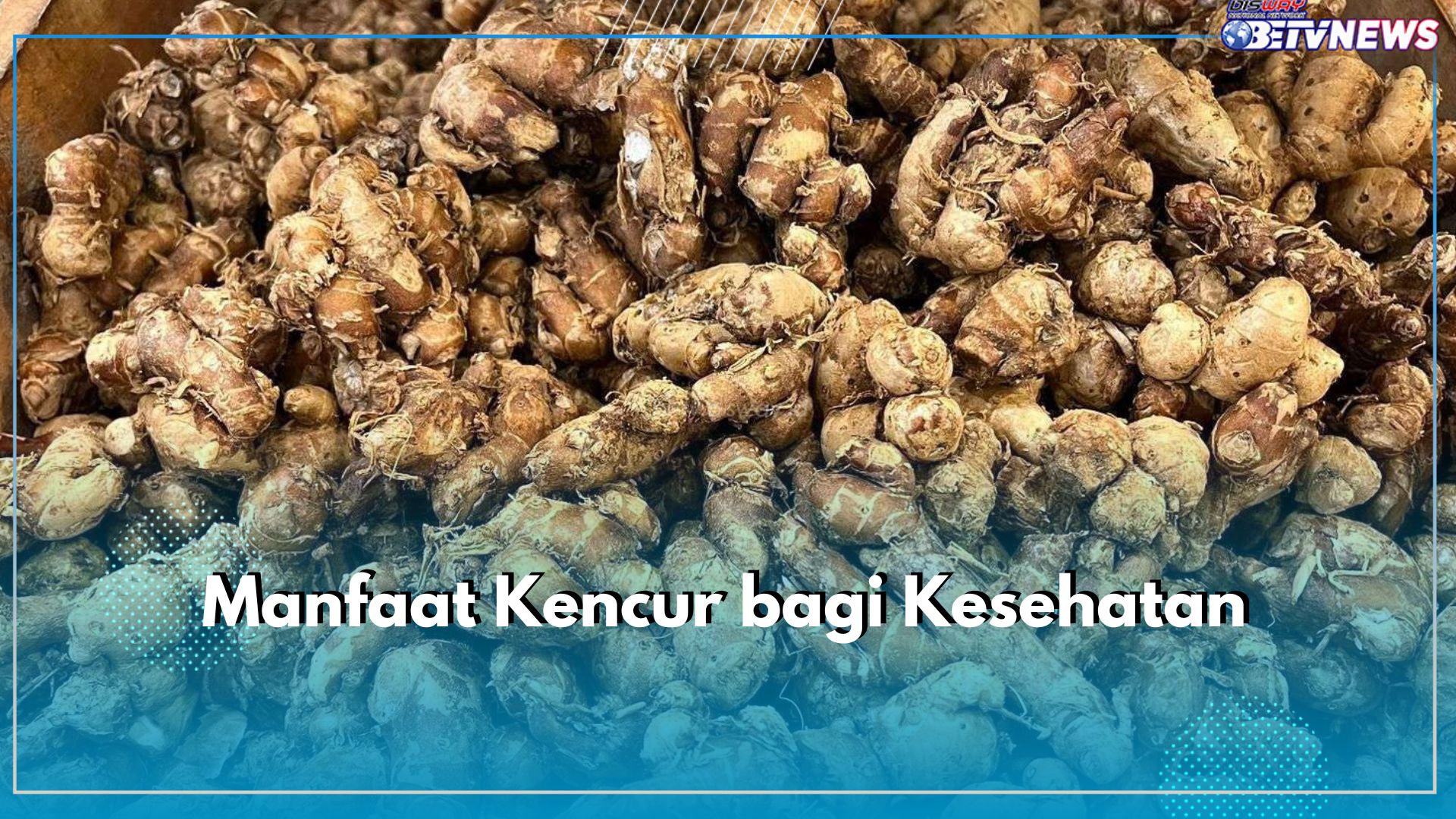 9 Manfaat Kencur, Bagi Kesehatan Ampuh Menurunkan Kolesterol