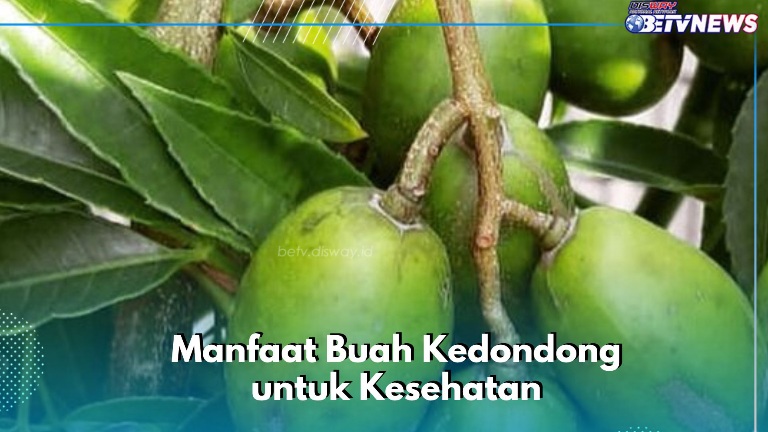 Ampuh Menjadi Obat Batuk, Cek Manfaat Buah Kedondong Ini, Cukup Konsumsi Rutin