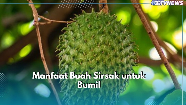 Makin Sehat, Ibu Hamil Bisa Konsumsi Buah Sirsak, Cek Manfaat di Sini! 