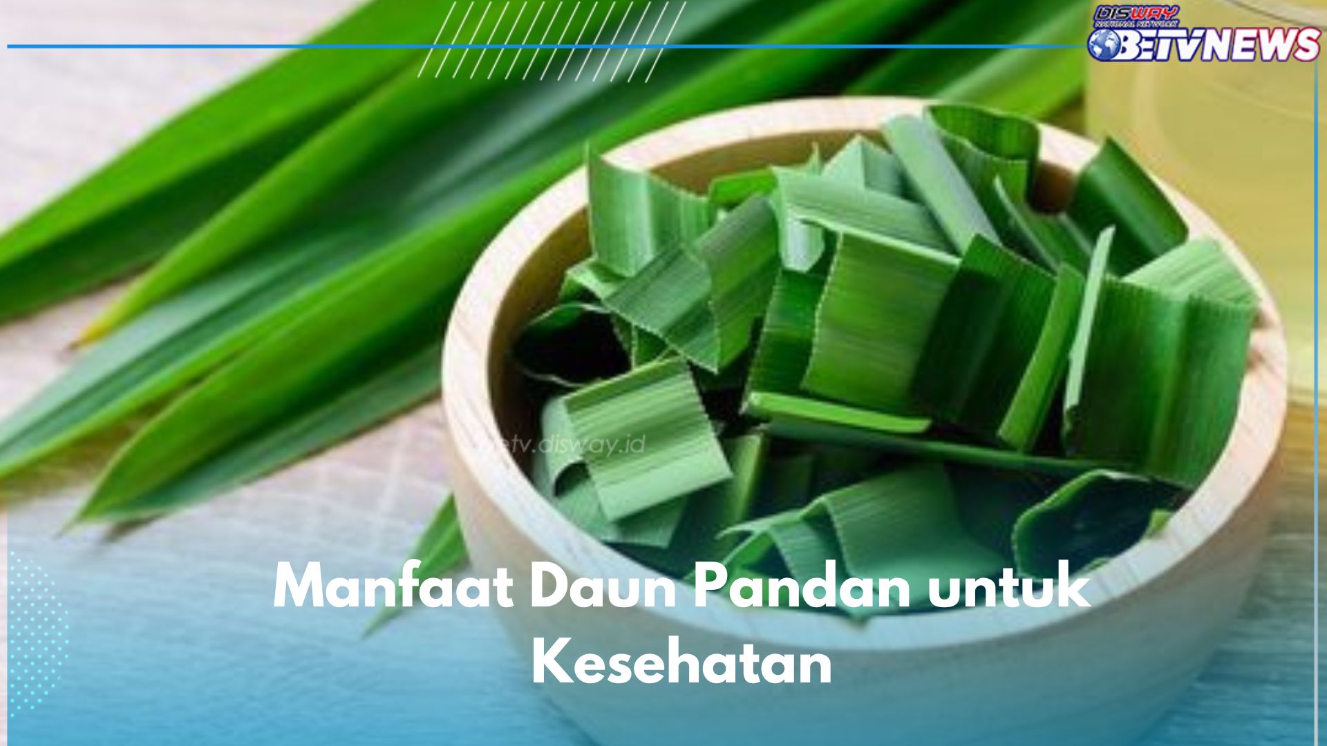 Daun Pandan Ternyata Ampuh Meningkatkan Imunitas Tubuh, Cek di Sini Manfaat Lainnya