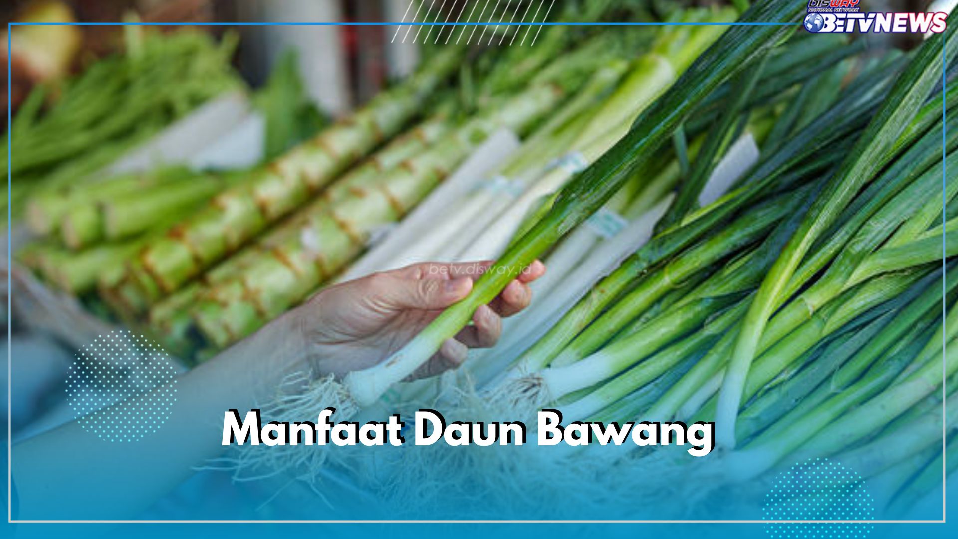 Benarkah Konsumsi Daun Bawang Bisa Menjaga Kesehatan Jantung? Cek Manfaatnya di Sini