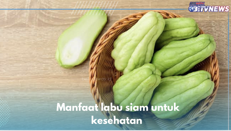 8 Manfaat Labu Siam untuk Kesehatan, Salah Satunya Cegah Penumpukan Lemak di Hati