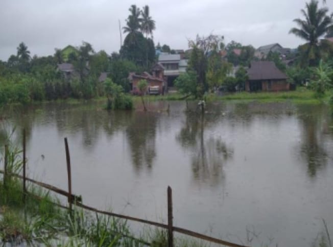 BPBD Sebut 78 KK Terdampak Banjir di Kota Bengkulu, 20 di Antaranya Mengungsi