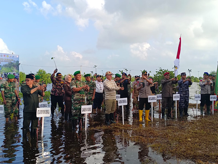 Penanaman 1.000 Bibit Mangrove di Pulau Baai Bengkulu
