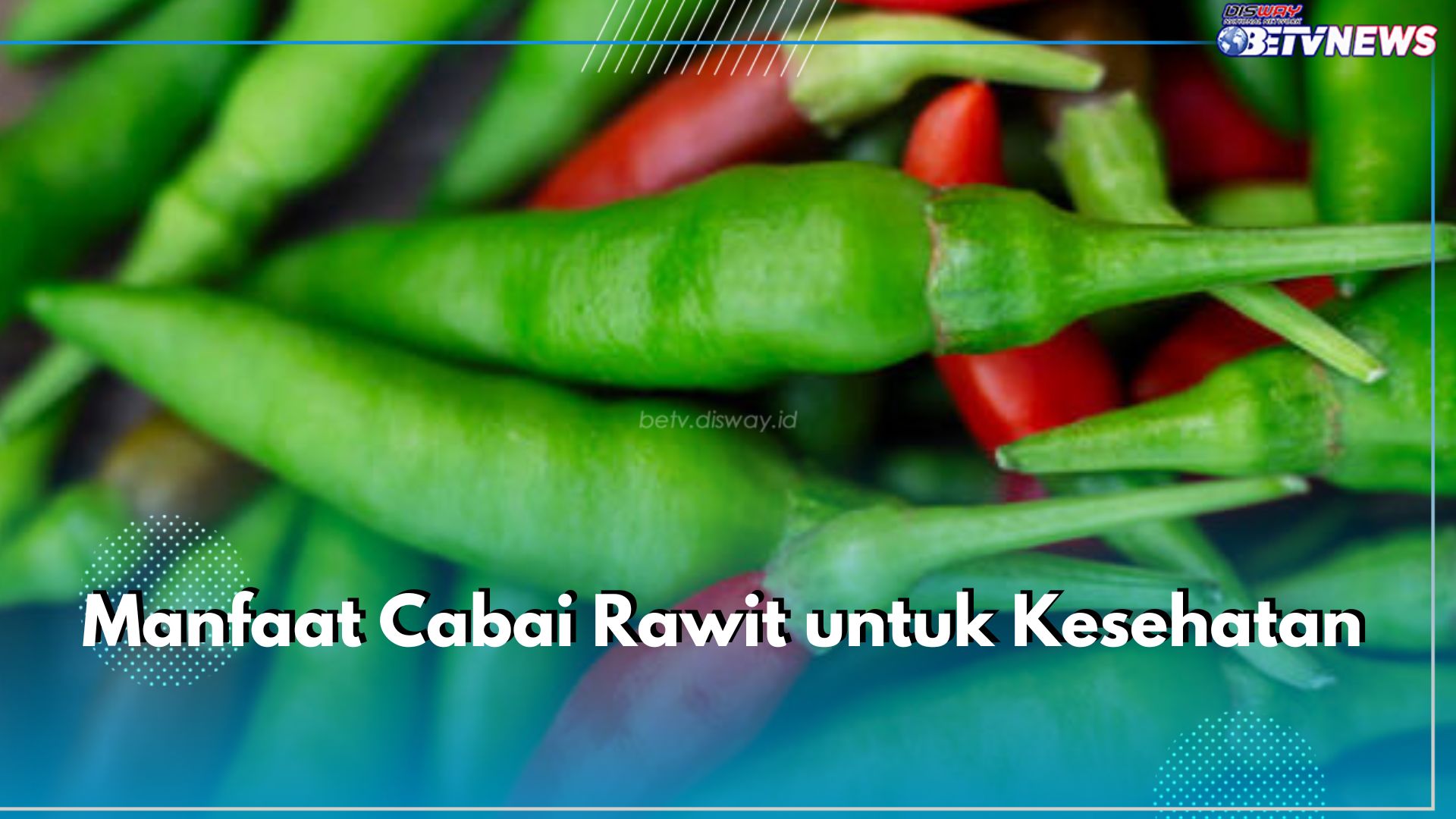 Pecinta Pedas Wajib Tahu! Ini 5 Manfaat Cabai Rawit untuk Kesehatan